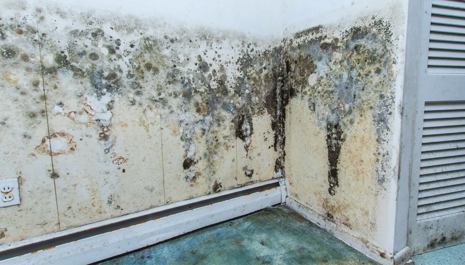 Professional mold removal, odor control, and water damage restoration service in Ocala, Florida.