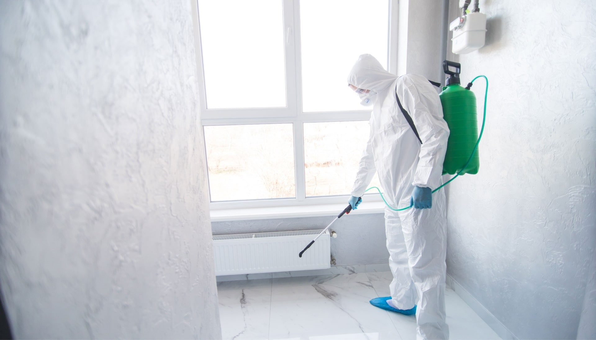 We provide the highest-quality mold inspection, testing, and removal services in the Ocala, Florida area.